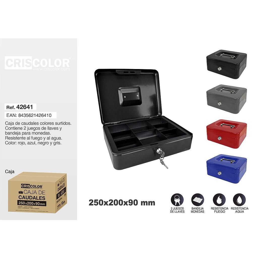 CAJA CAUDAL 25X20X9 9103500