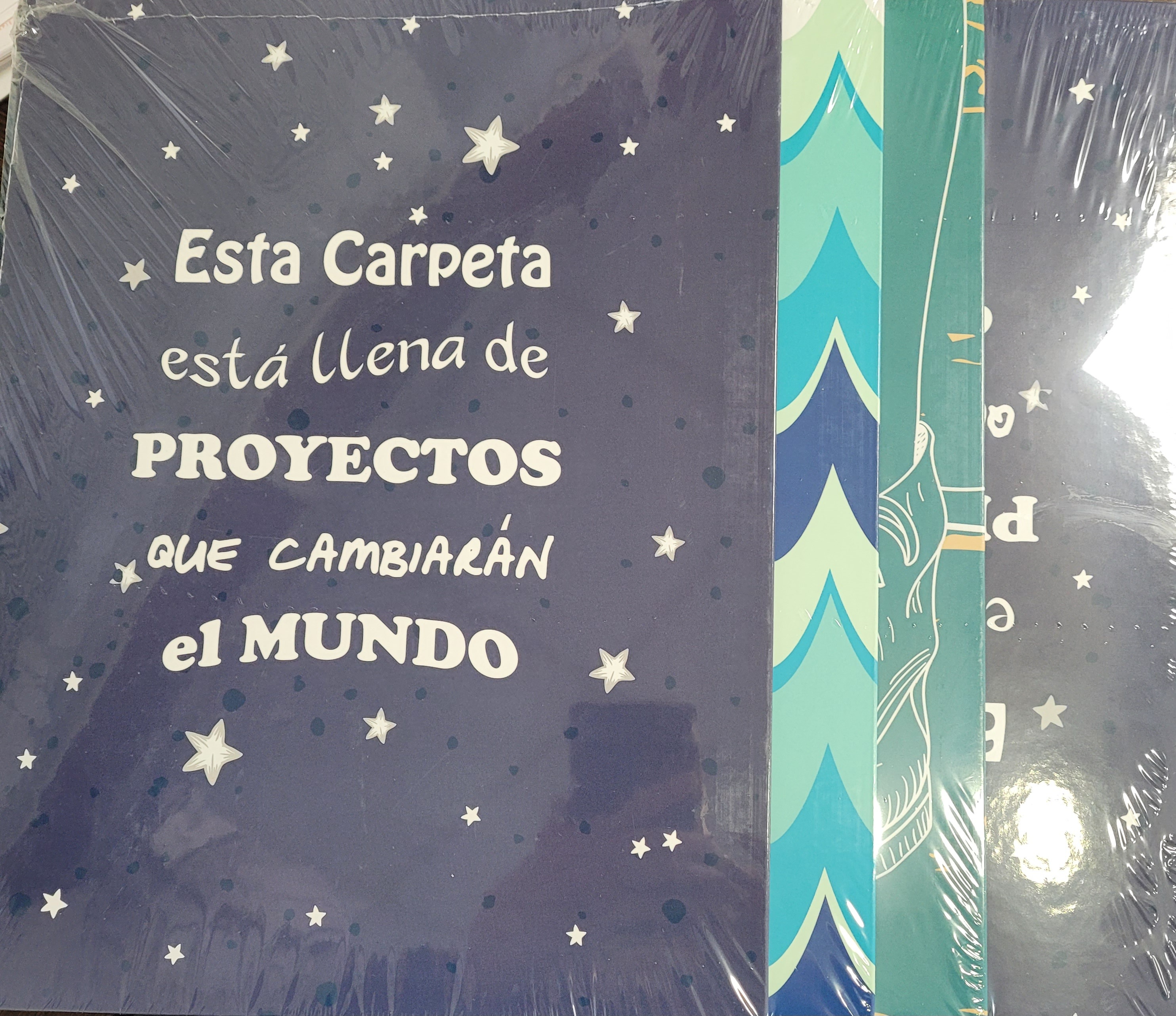 CARPETA 4A PROYECTOS 9011500