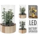 DECORACION C/ILUMIN PLANTA 912000