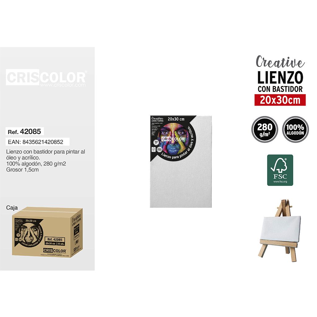 LIENZO 20X30 9011000