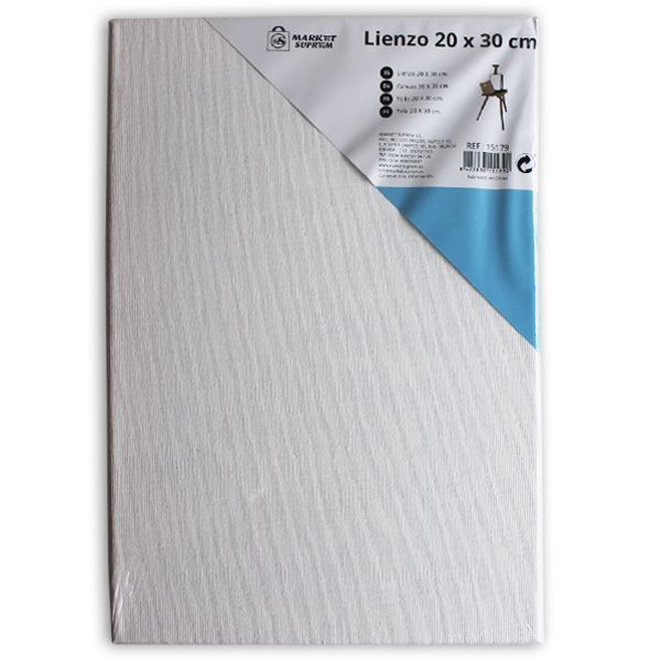 LIENZO PINTOR  20X30CM 9016500