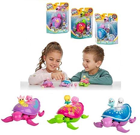 LLP-TORTUGAS MOLONAS 9178500