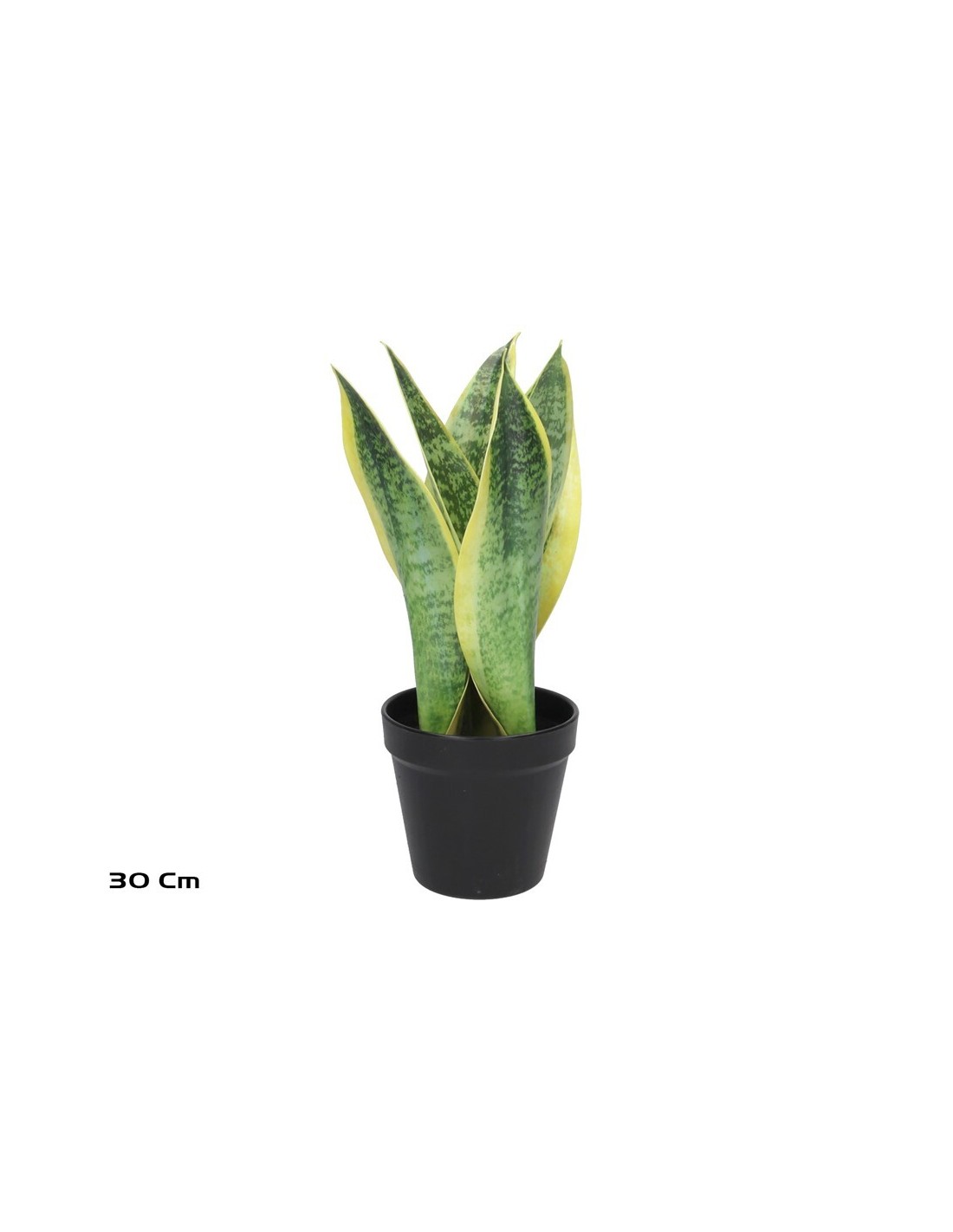 MACETA SENSEVERIA C/PIEDRA 30CM 904500