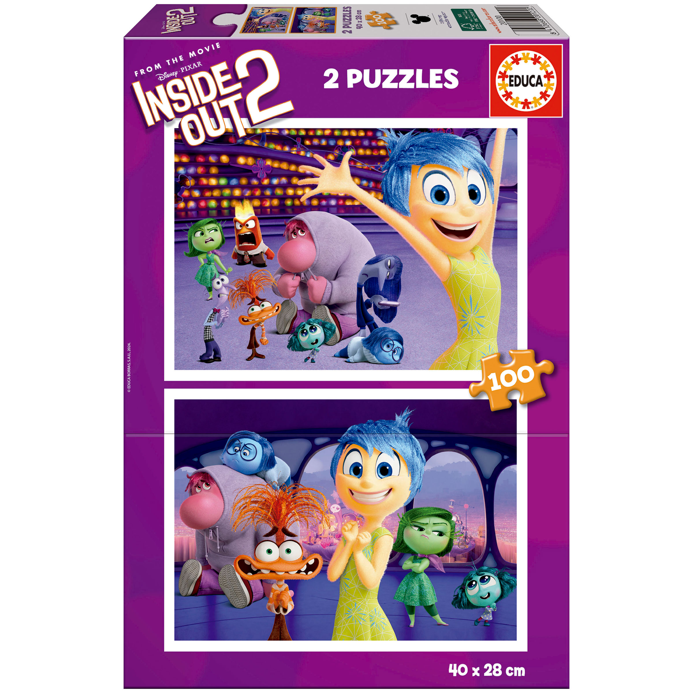 PUZZLE 2X100 INSIDE OUT 2 907300