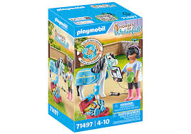 TERAPEUTA DE CABALLOS 9101500