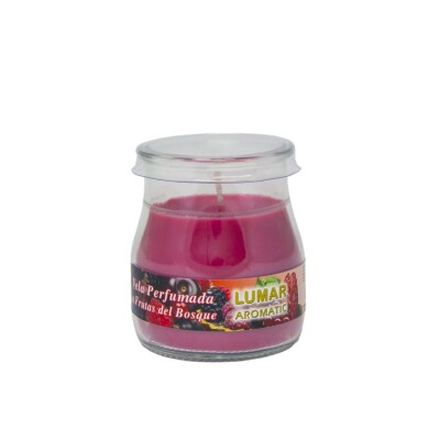 VASO YOGUR PERF.FRUTAS BOSQUE 900900